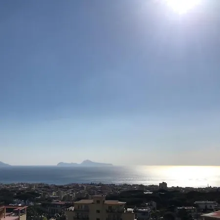 Hotel Sakura 4*