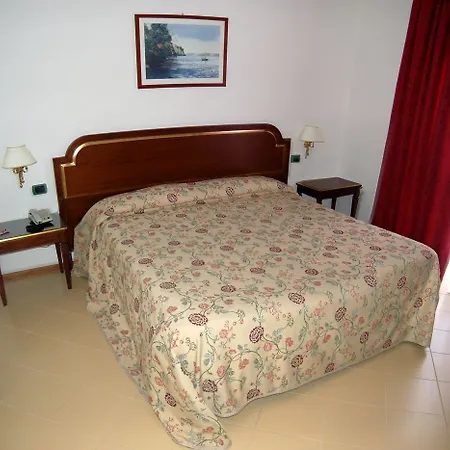 Hotel Sakura 4*